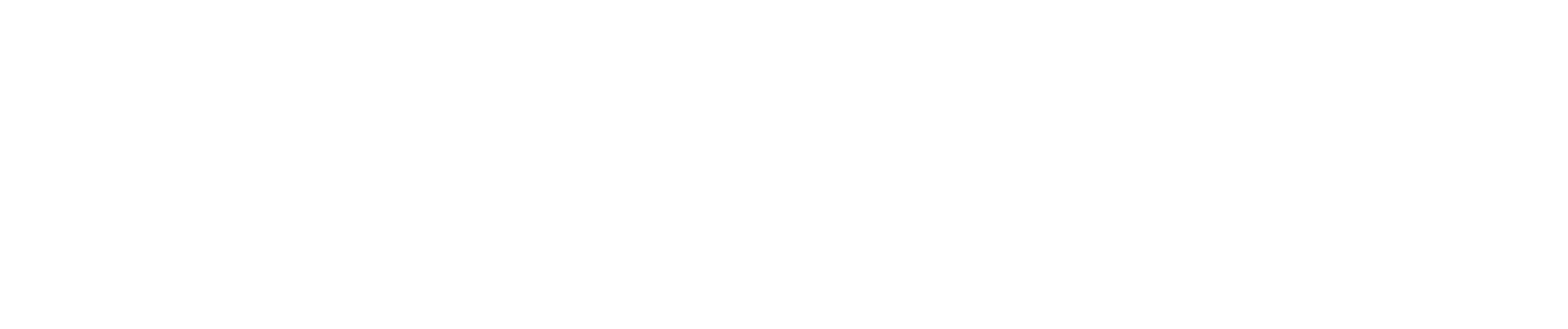 Twilight Computer Services
